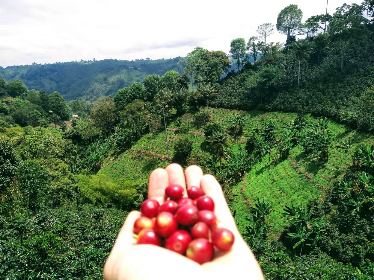 Coffee Country: Exploring Salento in Colombia